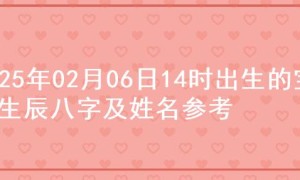 2025年02月06日14时出生的宝宝生辰八字及姓名参考