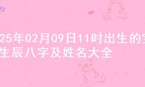 2025年02月09日11时出生的宝宝生辰八字及姓名大全