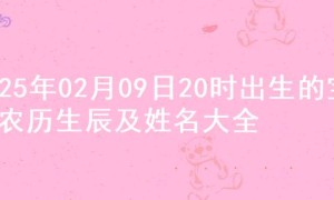 2025年02月09日20时出生的宝宝农历生辰及姓名大全