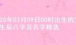 2025年02月09日00时出生的宝宝生辰八字及名字精选