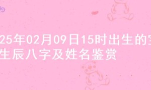 2025年02月09日15时出生的宝宝生辰八字及姓名鉴赏