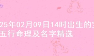 2025年02月09日14时出生的宝宝五行命理及名字精选