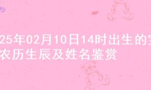 2025年02月10日14时出生的宝宝农历生辰及姓名鉴赏