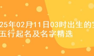 2025年02月11日03时出生的宝宝五行起名及名字精选