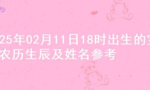 2025年02月11日18时出生的宝宝农历生辰及姓名参考