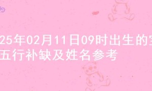 2025年02月11日09时出生的宝宝五行补缺及姓名参考