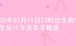 2025年02月11日23时出生的宝宝生辰八字及名字精选