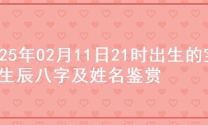 2025年02月11日21时出生的宝宝生辰八字及姓名鉴赏