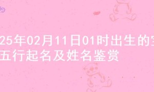 2025年02月11日01时出生的宝宝五行起名及姓名鉴赏