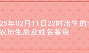 2025年02月11日22时出生的宝宝农历生辰及姓名鉴赏