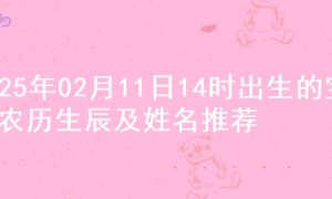 2025年02月11日14时出生的宝宝农历生辰及姓名推荐