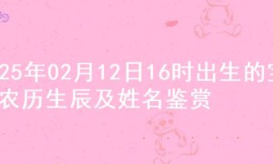 2025年02月12日16时出生的宝宝农历生辰及姓名鉴赏