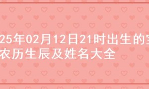 2025年02月12日21时出生的宝宝农历生辰及姓名大全