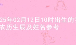 2025年02月12日10时出生的宝宝农历生辰及姓名参考