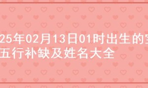 2025年02月13日01时出生的宝宝五行补缺及姓名大全