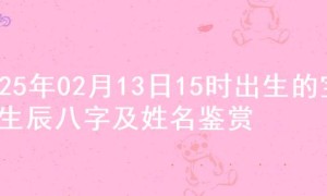 2025年02月13日15时出生的宝宝生辰八字及姓名鉴赏