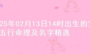 2025年02月13日14时出生的宝宝五行命理及名字精选