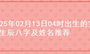 2025年02月13日04时出生的宝宝生辰八字及姓名推荐