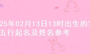 2025年02月13日13时出生的宝宝五行起名及姓名参考