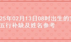 2025年02月13日08时出生的宝宝五行补缺及姓名参考