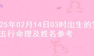 2025年02月14日03时出生的宝宝五行命理及姓名参考