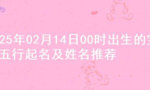 2025年02月14日00时出生的宝宝五行起名及姓名推荐