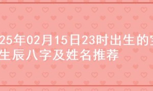 2025年02月15日23时出生的宝宝生辰八字及姓名推荐