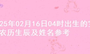 2025年02月16日04时出生的宝宝农历生辰及姓名参考