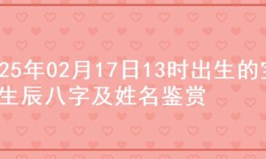 2025年02月17日13时出生的宝宝生辰八字及姓名鉴赏