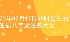 2025年02月17日09时出生的宝宝生辰八字及姓名大全