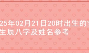 2025年02月21日20时出生的宝宝生辰八字及姓名参考