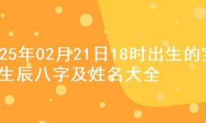 2025年02月21日18时出生的宝宝生辰八字及姓名大全