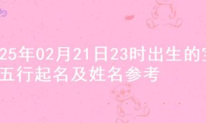 2025年02月21日23时出生的宝宝五行起名及姓名参考