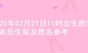 2025年02月21日11时出生的宝宝农历生辰及姓名参考