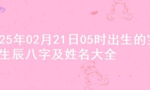 2025年02月21日05时出生的宝宝生辰八字及姓名大全