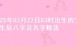 2025年02月22日03时出生的宝宝生辰八字及名字精选