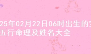 2025年02月22日06时出生的宝宝五行命理及姓名大全