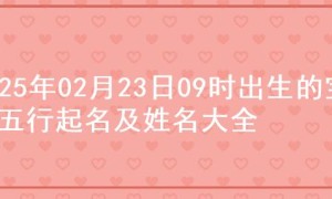 2025年02月23日09时出生的宝宝五行起名及姓名大全