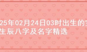 2025年02月24日03时出生的宝宝生辰八字及名字精选