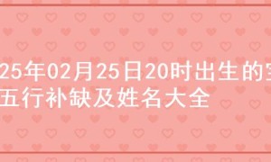 2025年02月25日20时出生的宝宝五行补缺及姓名大全