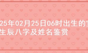 2025年02月25日06时出生的宝宝生辰八字及姓名鉴赏