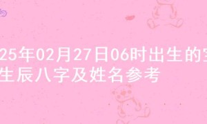 2025年02月27日06时出生的宝宝生辰八字及姓名参考