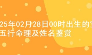 2025年02月28日00时出生的宝宝五行命理及姓名鉴赏