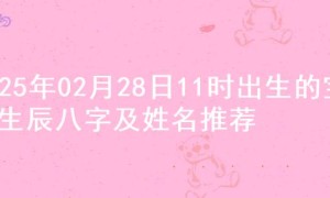 2025年02月28日11时出生的宝宝生辰八字及姓名推荐