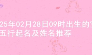 2025年02月28日09时出生的宝宝五行起名及姓名推荐