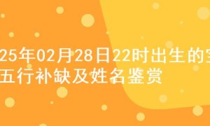 2025年02月28日22时出生的宝宝五行补缺及姓名鉴赏