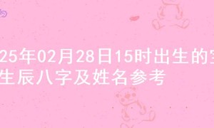 2025年02月28日15时出生的宝宝生辰八字及姓名参考