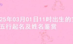 2025年03月01日11时出生的宝宝五行起名及姓名鉴赏