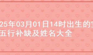 2025年03月01日14时出生的宝宝五行补缺及姓名大全