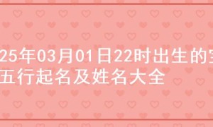 2025年03月01日22时出生的宝宝五行起名及姓名大全